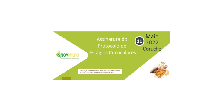 Assinatura protocolos estagios curriculares