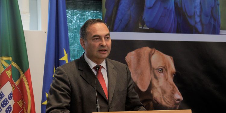 Açores está a elaborar um plano para o bem-estar animal