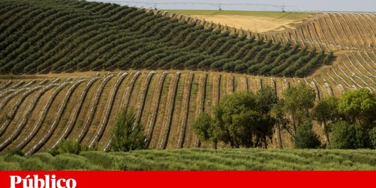 alentejo