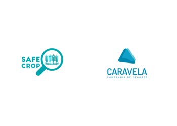 Safe-crop Caravela