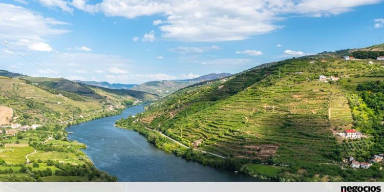 rioDouro