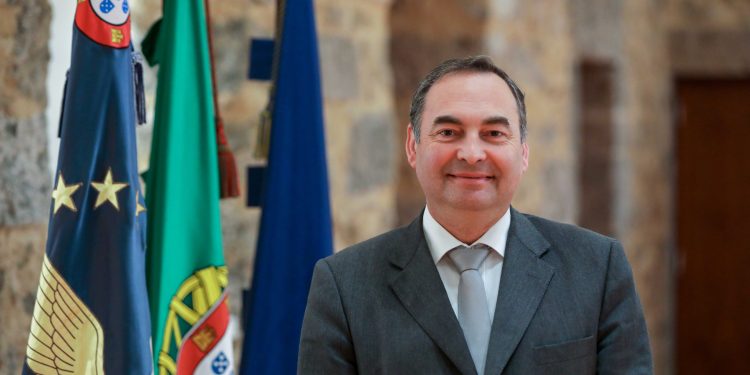 Açores: Secretaria da Agricultura apoia preservação de juntas de bois da raça Ramo Grande