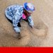 Sistema alimentar mundial é dependente de poucos países e frágil perante crises
