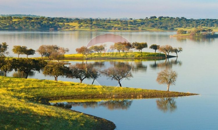 Venda - Herdade - Alqueva