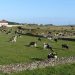 Ilha terceira