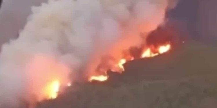 incêndio turquia