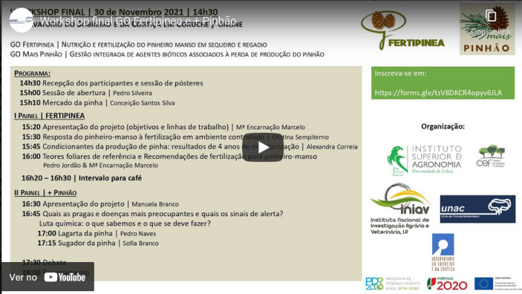Workshop final