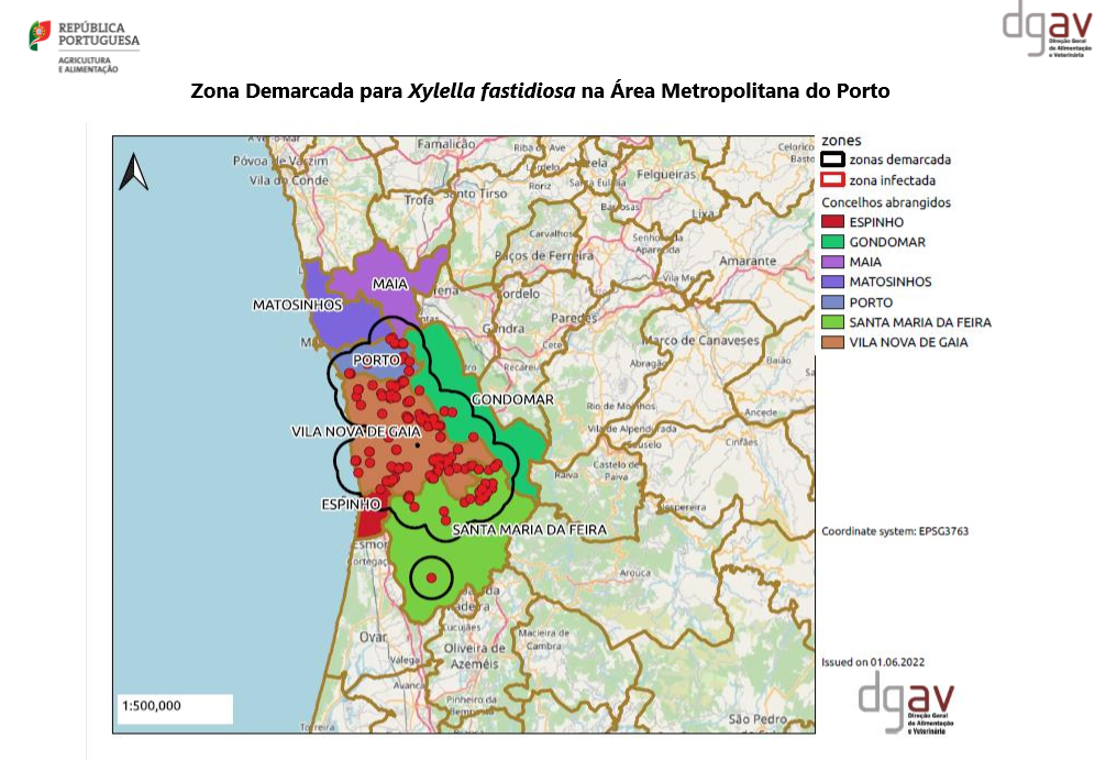 xylella fastidiosa - zona demarcada