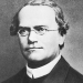 mendel