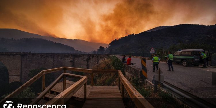 fogo incendios