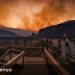 fogo incendios