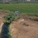 seca abrantes