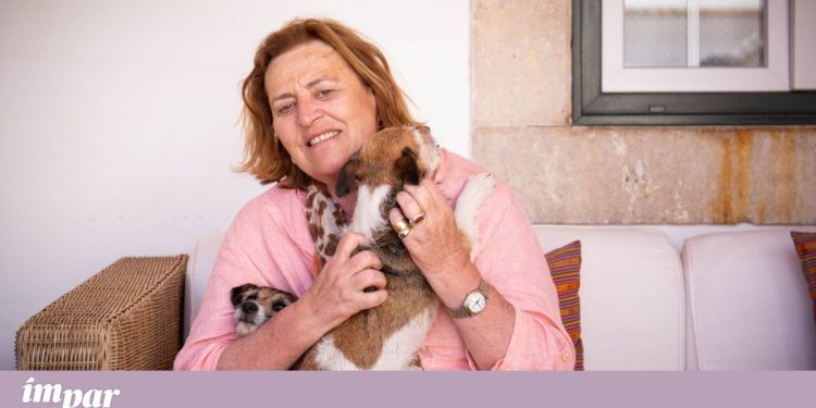 Teresa Schönborn-Wiesentheid