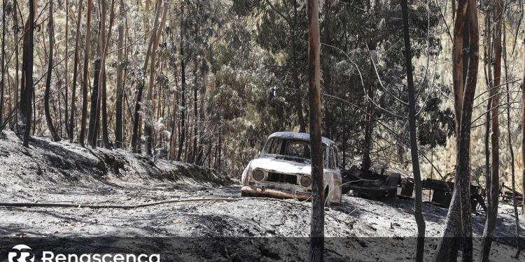 incendios colmeias