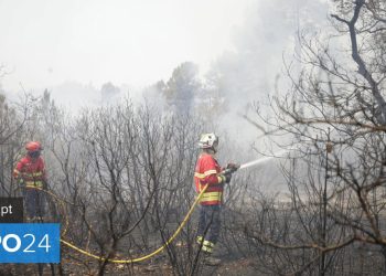 incêndios
