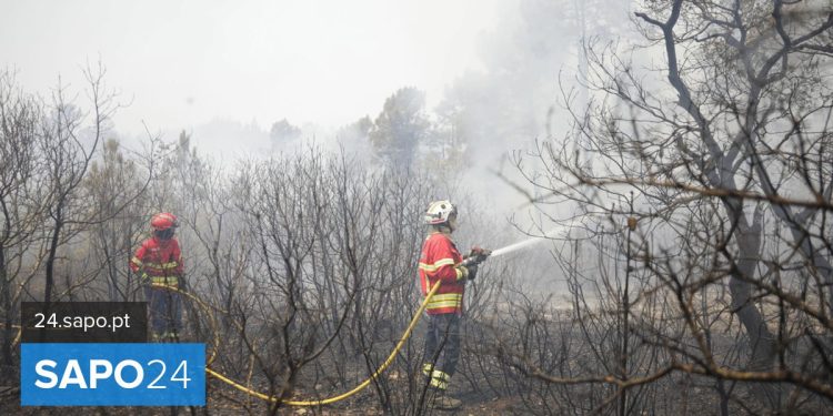 incêndios
