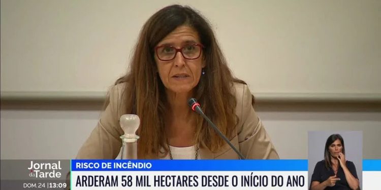 alerta incendios