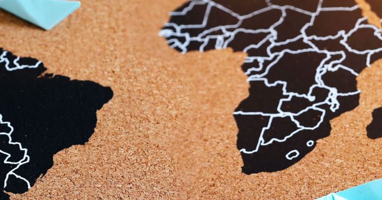 exportaçoes florestais
