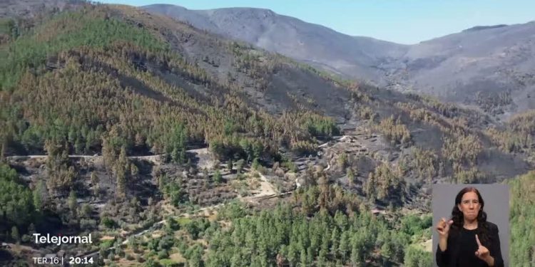 Incêndio na Estrela