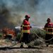 icnf ecossistemas incêndios