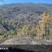 incendio serra