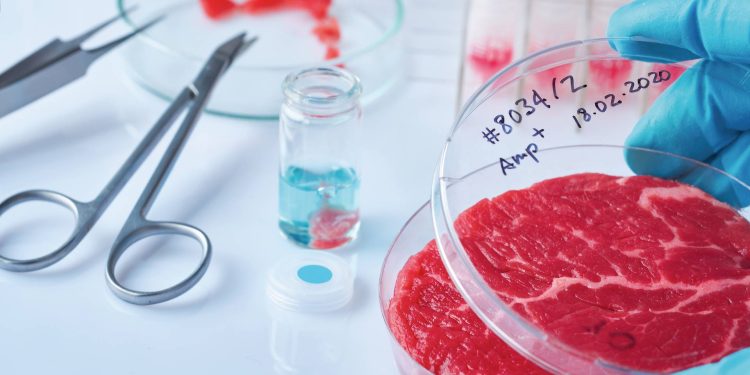 Biotecnologia