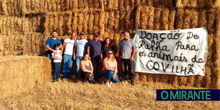 animais afectados pelos incêndios