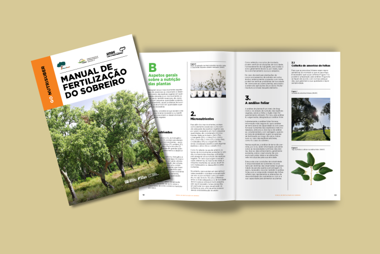 fertilização sobreiro