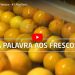 Palavras aos Frescos