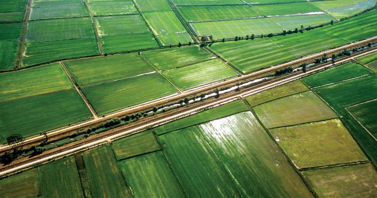 viabilidade da agricultura portuguesa