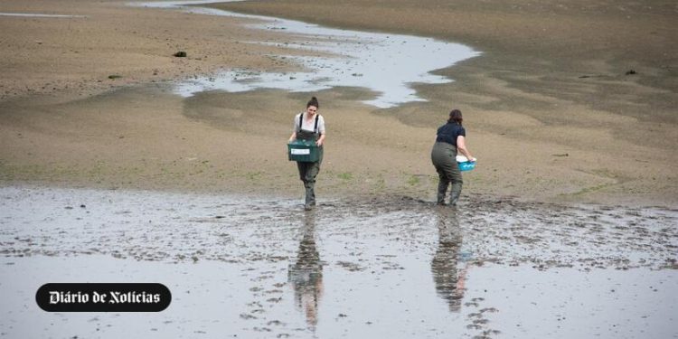 qualidade dos ecossistemas